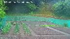 kannonmori-20250520065017.jpg