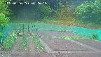 kannonmori-20250520070017.jpg