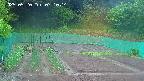 kannonmori-20250520071016.jpg