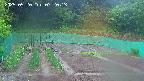 kannonmori-20250520072015.jpg