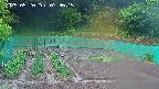kannonmori-20250520073017.jpg