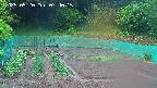 kannonmori-20250520074017.jpg