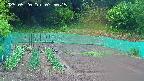 kannonmori-20250520075016.jpg