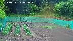 kannonmori-20250520080017.jpg