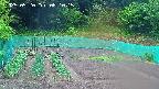 kannonmori-20250520081016.jpg