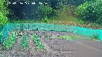 kannonmori-20250520082017.jpg