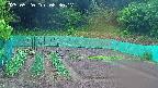 kannonmori-20250520083018.jpg