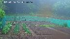 kannonmori-20250520085017.jpg