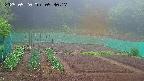 kannonmori-20250520093017.jpg