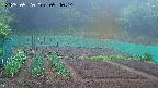 kannonmori-20250520094015.jpg