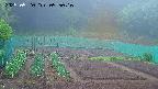 kannonmori-20250520095017.jpg
