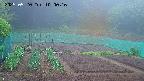 kannonmori-20250520100017.jpg