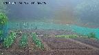 kannonmori-20250520104017.jpg