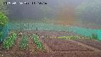 kannonmori-20250520111017.jpg