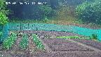 kannonmori-20250520123016.jpg