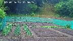 kannonmori-20250520130017.jpg