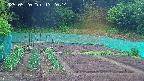 kannonmori-20250520132016.jpg