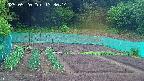 kannonmori-20250520133016.jpg