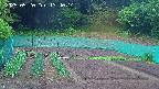 kannonmori-20250520134016.jpg