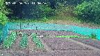 kannonmori-20250520140018.jpg