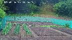 kannonmori-20250520141017.jpg
