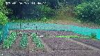 kannonmori-20250520143016.jpg