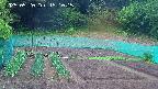 kannonmori-20250520151016.jpg