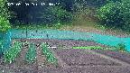 kannonmori-20250520153015.jpg