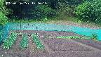 kannonmori-20250520154017.jpg