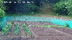 kannonmori-20250520160017.jpg