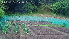 kannonmori-20250520162016.jpg