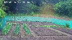 kannonmori-20250520164017.jpg