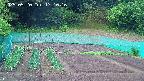 kannonmori-20250520171018.jpg