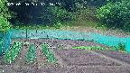 kannonmori-20250520172015.jpg