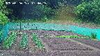 kannonmori-20250520173017.jpg
