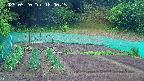 kannonmori-20250520180017.jpg