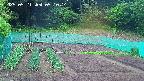kannonmori-20250521051016.jpg