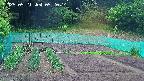 kannonmori-20250521052016.jpg