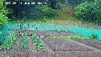 kannonmori-20250521053017.jpg