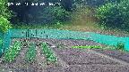 kannonmori-20250521054015.jpg