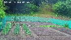 kannonmori-20250521055016.jpg