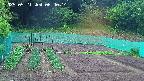 kannonmori-20250521064015.jpg