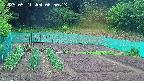 kannonmori-20250521065015.jpg