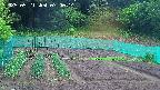 kannonmori-20250521070016.jpg