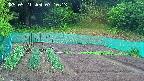kannonmori-20250521071015.jpg