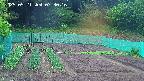 kannonmori-20250521073018.jpg