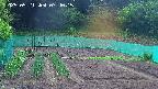 kannonmori-20250521074017.jpg