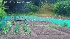 kannonmori-20250521075016.jpg
