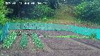 kannonmori-20250521080015.jpg
