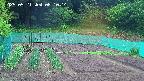 kannonmori-20250521081015.jpg
